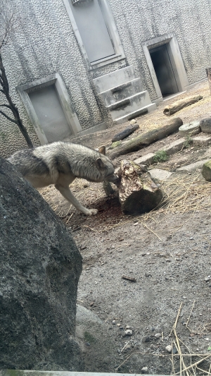  鹿児島県鹿児島市山之口町１１−１４ オーリックビル 2階のセクキャバSexy Club WITH YOUの写メ日記　楽しかった〜♡画像