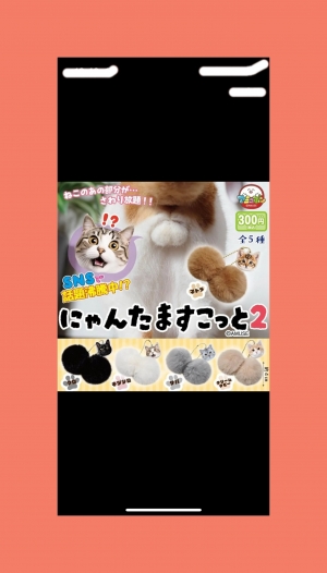  鹿児島県鹿児島市山之口町１１−１４ オーリックビル 2階のセクキャバSexy Club WITH YOUの写メ日記　お久しぶりです☺️画像