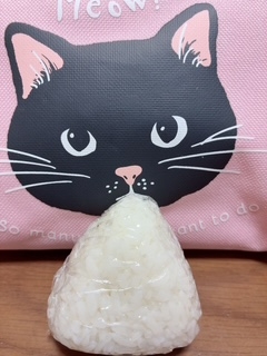  鹿児島県鹿児島市山之口町１１−１４ オーリックビル 2階のセクキャバSexy Club WITH YOUの写メ日記　プルプル💓画像